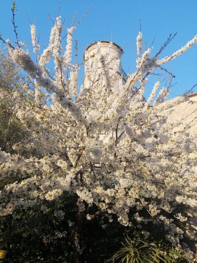 B&B Vicidomini San Marco dei Cavoti Dış mekan fotoğraf